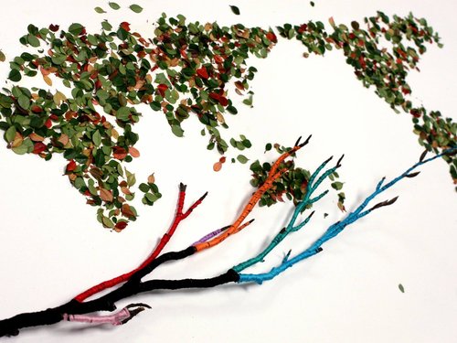 The Y-chromosome tree bursts into leaf